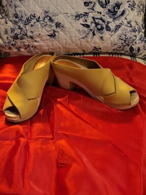 BRYR San Francisco Suede and wood-heel Clogs. Tan color, Size 8, true to size